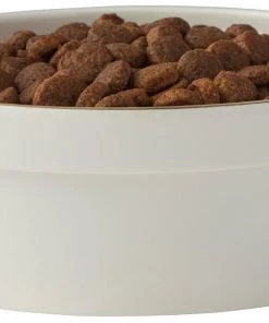 Frisco Gold Trim Melamine Dog & Cat Bowl, Cream -PetNest Shop 253062 PT3. SY630 V1616595685