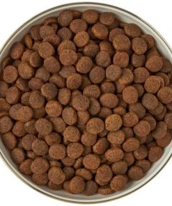 Frisco Gold Trim Melamine Dog & Cat Bowl, Cream -PetNest Shop 253062 PT5. SY630 V1616595396