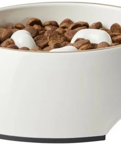 Frisco Melamine Slow Feed Dog & Cat Bowl with Gold Trim, Cream -PetNest Shop 253067 PT3. SY630 V1615312295