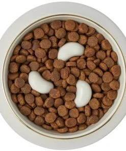 Frisco Melamine Slow Feed Dog & Cat Bowl with Gold Trim, Cream -PetNest Shop 253067 PT5. SY630 V1615310813