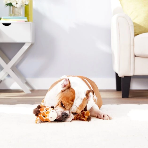 Frisco||True Chews Frisco Bungee Plush Squeaking Giraffe Dog Toy & True Chews Premium Chicken Pot Pie Recipe Dog Treats, 12-oz bag 5 Frisco||True Chews Frisco Bungee Plush Squeaking Giraffe Dog Toy & True Chews Premium Chicken Pot Pie Recipe Dog Treats, 12-oz bag - Image 3