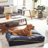 Frisco Faux Felt Zipper Pillow Cat & Dog Bed -PetNest Shop 255158 MAIN. SY630 V1616011383