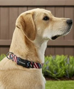 Frisco American Flag Dog Leash & Frisco American Flag Dog Collar -PetNest Shop 255453 PT4. SY630 V1602706576