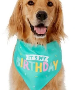 Frisco Birthday Cake Dog & Cat Hat & Frisco Dog & Cat Birthday Bandana -PetNest Shop 255463 PT3. SY630 V1603716088