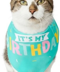 Frisco Birthday Cake Dog & Cat Hat & Frisco Dog & Cat Birthday Bandana -PetNest Shop 255463 PT4. SY630 V1603716094