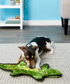 Frisco Flat Plush Squeaking Alligator Dog Toy, Medium & Frisco Flat Plush Squeaking Raccoon Dog Toy, Medium 9 Frisco Flat Plush Squeaking Alligator Dog Toy, Medium & Frisco Flat Plush Squeaking Raccoon Dog Toy, Medium -PetNest Shop 255471 PT2. SY630 V1602691584