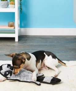 Frisco Flat Plush Squeaking Alligator Dog Toy, Medium & Frisco Flat Plush Squeaking Raccoon Dog Toy, Medium 11 Frisco Flat Plush Squeaking Alligator Dog Toy, Medium & Frisco Flat Plush Squeaking Raccoon Dog Toy, Medium -PetNest Shop 255471 PT4. SY630 V1602691287