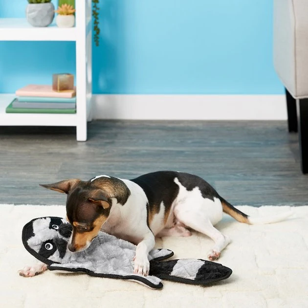 Frisco Flat Plush Squeaking Alligator Dog Toy, Medium & Frisco Flat Plush Squeaking Raccoon Dog Toy, Medium 7 Frisco Flat Plush Squeaking Alligator Dog Toy, Medium & Frisco Flat Plush Squeaking Raccoon Dog Toy, Medium - Image 5