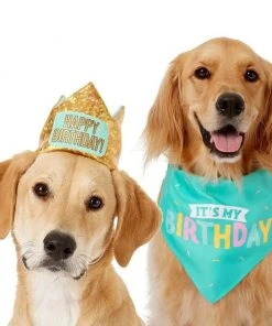 Frisco Happy Birthday Dog & Cat Crown & Frisco Dog & Cat Birthday Bandana, One Size