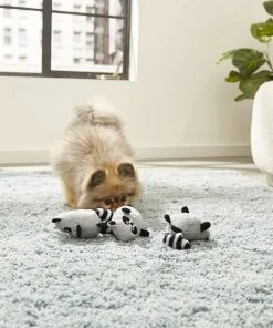 Frisco Hide & Seek Plush Trash Can Puzzle Dog Toy & Frisco Hide & Seek Raccoon Dog Toy Refills, 3-pack 11 Frisco Hide & Seek Plush Trash Can Puzzle Dog Toy & Frisco Hide & Seek Raccoon Dog Toy Refills, 3-pack -PetNest Shop 255563 PT4. SY630 V1602702370