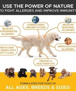 Frisco||PetHonesty Frisco Hypoallergenic Grooming Wipes with Organic Aloe for Dogs & Cats, Unscented & PetHonesty Allergy Relief Snacks Immunity Strength & Digestive Health Soft Chews Dog Supplement -PetNest Shop 255569 PT4. SY630 V1603545416