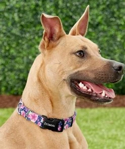 Frisco Midnight Floral Dog Leash & Frisco Midnight Floral Dog Collar -PetNest Shop 255571 PT4. SY630 V1603545402