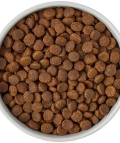 Frisco Ceramic Food Dog & Cat Bowl with Wood Base -PetNest Shop 256042 PT6. SY630 V1615317399