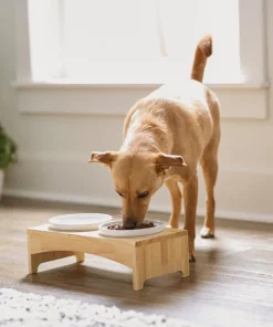 Frisco Ceramic Dog & Cat Double Diner with Elevated Wood Stand, 1.87 Cups -PetNest Shop 256052 PT2. SY630 V1615311142