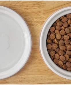 Frisco Ceramic Dog & Cat Double Diner with Elevated Wood Stand, 1.87 Cups -PetNest Shop 256052 PT6. SY630 V1615311469