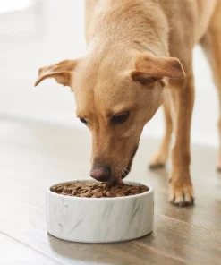 Frisco Marble Design Non-skid Ceramic Dog & Cat Bowl -PetNest Shop 256056 PT2. SY630 V1615313589