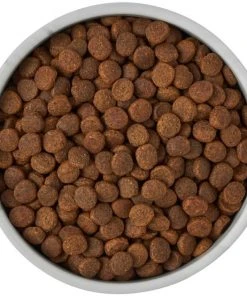 Frisco Marble Design Non-skid Ceramic Dog & Cat Bowl -PetNest Shop 256056 PT6. SY630 V1615310860