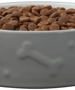 Frisco Bones Non-skid Ceramic Dog & Cat Bowl, Gray -PetNest Shop 256063 PT3. SY630 V1616508727