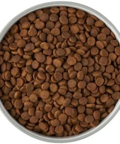 Frisco Bones Non-skid Ceramic Dog & Cat Bowl, Gray -PetNest Shop 256063 PT5. SY630 V1616508997