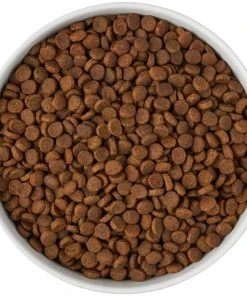 Frisco Paw Prints Non-skid Ceramic Bowl, 7.75 Cups -PetNest Shop 256072 PT5. SY630 V1615312318