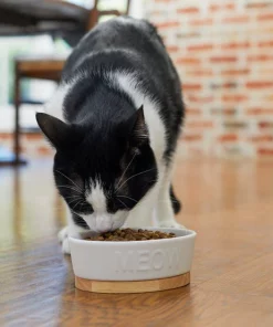 Frisco Oval Meow Non-skid Ceramic Cat Bowl with Wood Base, 1 Cup -PetNest Shop 256080 PT2. SY630 V1615310782