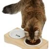 Frisco Double Elevated Cat Bowl with Wood Stand, 0.62 Cup