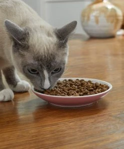 Frisco Kaleidoscope Pattern Non-skid Ceramic Cat Dish, Pink, 0.62 Cup -PetNest Shop 256084 PT3. SY630 V1618494728