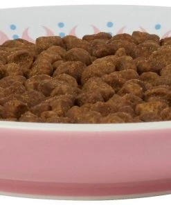 Frisco Kaleidoscope Pattern Non-skid Ceramic Cat Dish, Pink, 0.62 Cup -PetNest Shop 256084 PT4. SY630 V1618494759