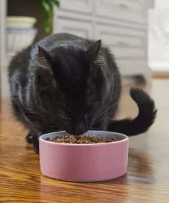 Frisco Kaleidoscope Pattern Non-skid Ceramic Cat Dish, Pink, 1.62 Cup -PetNest Shop 256086 PT2. SY630 V1615313605