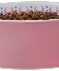 Frisco Kaleidoscope Pattern Non-skid Ceramic Cat Dish, Pink, 1.62 Cup -PetNest Shop 256086 PT3. SY630 V1615311761