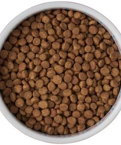 Frisco Kaleidoscope Pattern Non-skid Ceramic Cat Dish, Pink, 1.62 Cup -PetNest Shop 256086 PT5. SY630 V1615310802