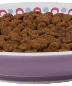 Frisco Kaleidoscope Pattern Non-skid Ceramic Cat Dish, Purple, 0.62 Cup -PetNest Shop 256088 PT3. SY630 V1617042712