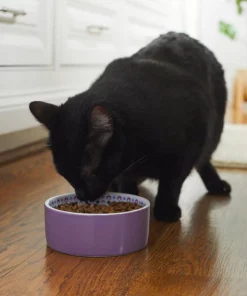 Frisco Kaleidoscope Pattern Non-skid Ceramic Cat Dish, Purple, 1.62 Cup -PetNest Shop 256090 PT2. SY630 V1615311092