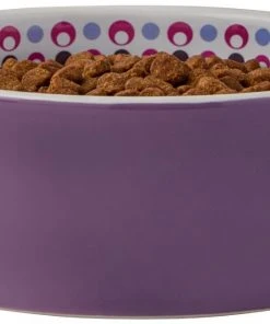 Frisco Kaleidoscope Pattern Non-skid Ceramic Cat Dish, Purple, 1.62 Cup -PetNest Shop 256090 PT3. SY630 V1615311698