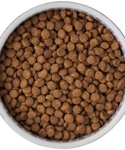 Frisco Kaleidoscope Pattern Non-skid Ceramic Cat Dish, Purple, 1.62 Cup -PetNest Shop 256090 PT5. SY630 V1615312887