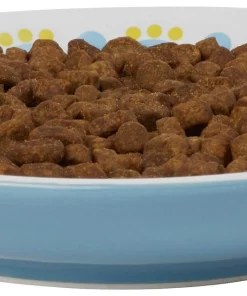 Frisco Kaleidoscope Pattern Non-skid Ceramic Cat Dish, Blue, 0.62 Cup -PetNest Shop 256092 PT3. SY630 V1617042717