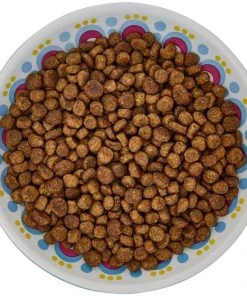 Frisco Kaleidoscope Pattern Non-skid Ceramic Cat Dish, Blue, 0.62 Cup -PetNest Shop 256092 PT5. SY630 V1617042691