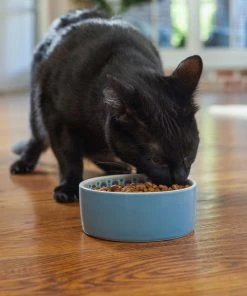 Frisco Kaleidoscope Pattern Non-skid Ceramic Cat Dish, Blue, 1.62 Cups -PetNest Shop 256094 PT2. SY630 V1615311130