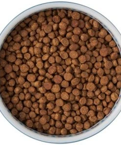 Frisco Kaleidoscope Pattern Non-skid Ceramic Cat Dish, Blue, 1.62 Cups -PetNest Shop 256094 PT5. SY630 V1615312042