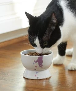 Frisco Cat Print Non-skid Elevated Ceramic Cat Bowl, Short, 1.0 Cup -PetNest Shop 256096 PT2. SY630 V1616522571