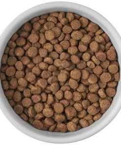 Frisco Cat Print Non-skid Elevated Ceramic Cat Bowl, Short, 1.0 Cup -PetNest Shop 256096 PT4. SY630 V1616522576