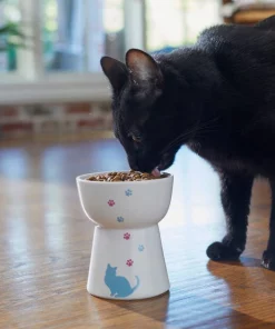 Frisco Cat Print Non-skid Elevated Ceramic Cat Bowl, Tall -PetNest Shop 256098 PT2. SY630 V1616522547