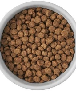 Frisco Cat Print Non-skid Elevated Ceramic Cat Bowl, Tall -PetNest Shop 256098 PT4. SY630 V1616522549