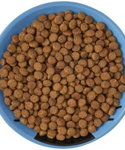 Frisco Cat Face Non-skid Ceramic Cat Dish, Blue, 0.50 Cup -PetNest Shop 256101 PT5. SY630 V1615321282