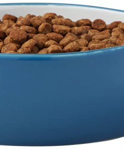 Frisco Fish Shaped Non-skid Ceramic Cat Bowl, 1.37 Cups 12 Frisco Fish Shaped Non-skid Ceramic Cat Bowl, 1.37 Cups -PetNest Shop 256111 PT3. SY630 V1616522602