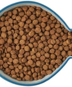 Frisco Fish Shaped Non-skid Ceramic Cat Bowl, 1.37 Cups 14 Frisco Fish Shaped Non-skid Ceramic Cat Bowl, 1.37 Cups -PetNest Shop 256111 PT5. SY630 V1616522555