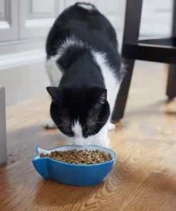 Frisco Fish Shaped Non-skid Ceramic Cat Bowl, 1.37 Cups 15 Frisco Fish Shaped Non-skid Ceramic Cat Bowl, 1.37 Cups -PetNest Shop 256111 PT6. SY630 V1617037703
