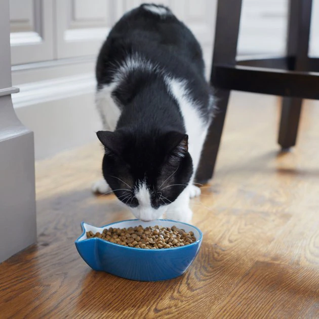 Frisco Fish Shaped Non-skid Ceramic Cat Bowl, 1.37 Cups 9 Frisco Fish Shaped Non-skid Ceramic Cat Bowl, 1.37 Cups - Image 7