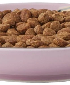 Frisco Paris Non-skid Ceramic Cat Dish, 0.62 Cup -PetNest Shop 256115 PT5. SY630 V1618494743