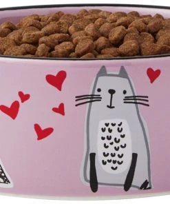 Frisco Paris Non-skid Ceramic Cat Dish, 1.62 Cup -PetNest Shop 256117 PT3. SY630 V1615311168